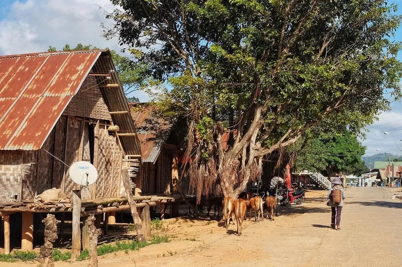 Mỗi góc phố đều sống động nhờ phong cảnh ở đắk lắk