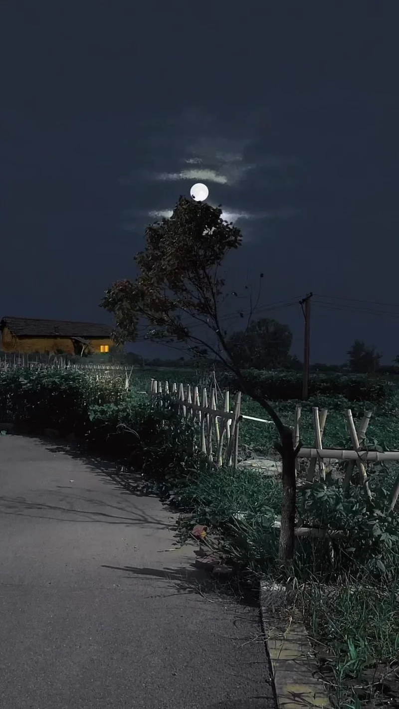 Lặng nhìn ảnh phong cảnh buồn đẹp giữa màn đêm