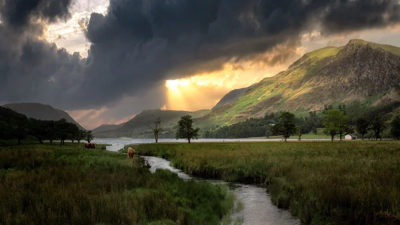 Tận hưởng nghệ thuật qua tranh phong cảnh đồi núi