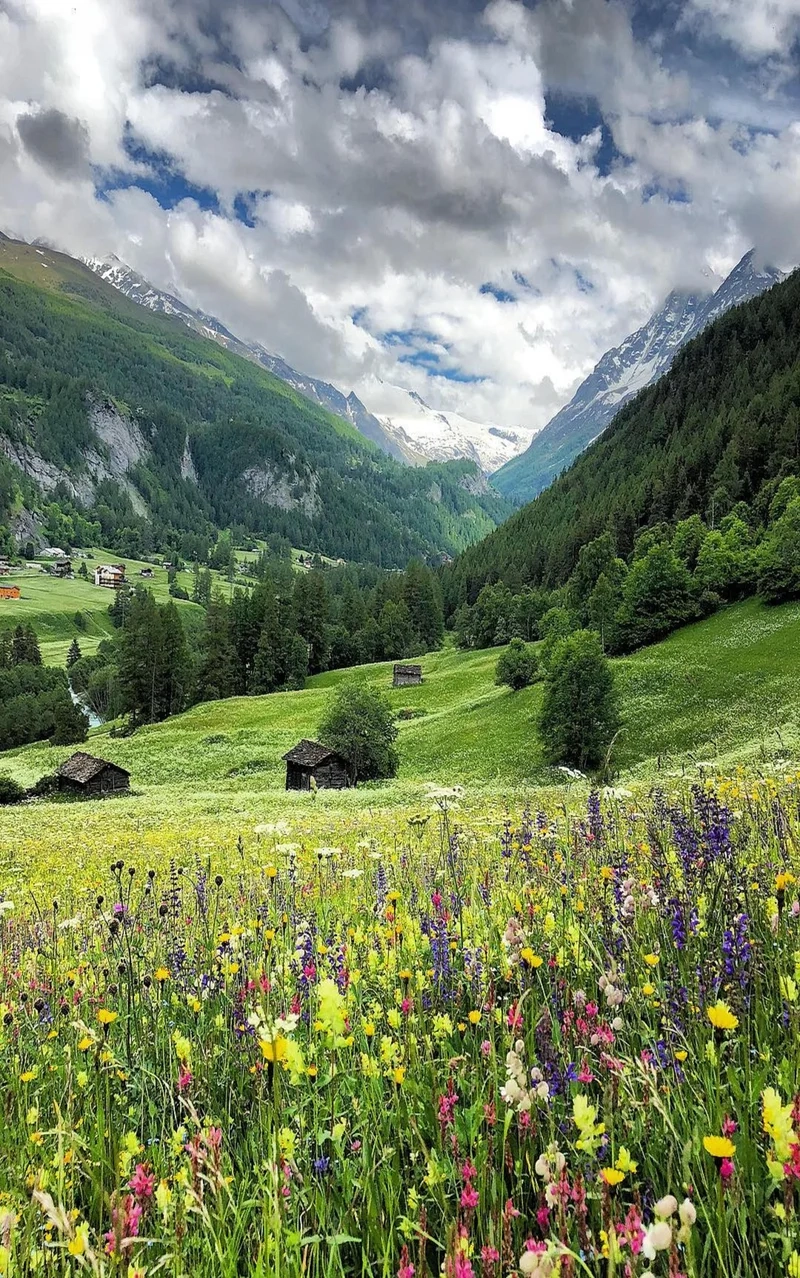 Tận hưởng khoảnh khắc yên ả trong ảnh phong cảnh đồng quê