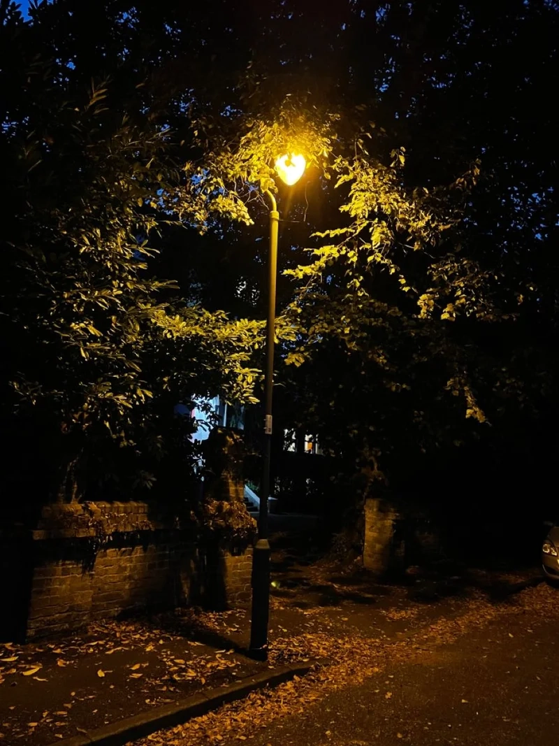 Ngắm cảnh đường phố sài gòn nhộn nhịp và đầy sức sống