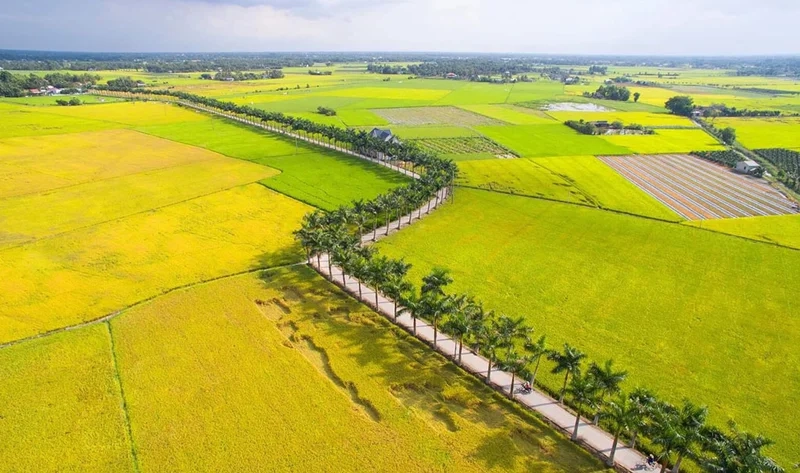 Thả hồn nghệ thuật với vẽ tranh phong cảnh long an