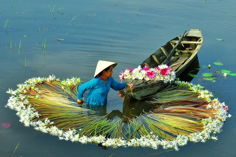 Mỗi khung hình đều mê hoặc với phong cảnh đẹp long an