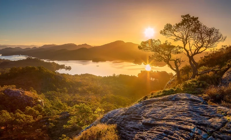 Thưởng thức chi tiết tinh tế trong tranh phong cảnh mặt trời mọc