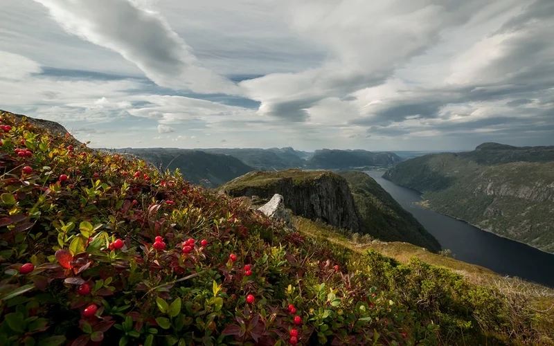 Khám phá những điều nổi bật na uy nổi tiếng về cái gì