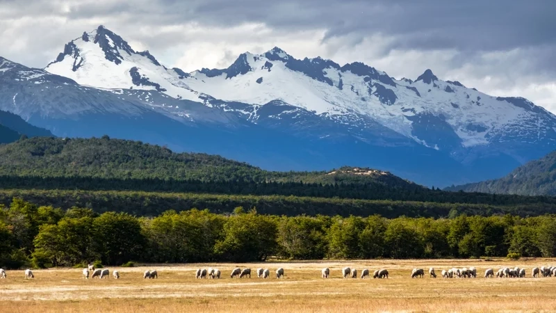 Lên kế hoạch cho chuyến đi với du lịch nam mỹ tuyệt vời
