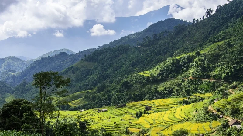 Tải ngay hình nền phong cảnh núi rừng để làm mới màn hình