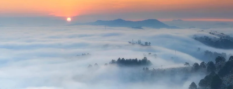 Sáng sớm Đà Lạt tuyệt đẹp với ảnh sương mù đà lạt