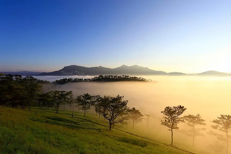 Khám phá vẻ huyền ảo qua hình ảnh sương mù đà lạt
