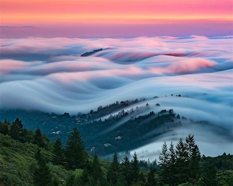 Khám phá thiên nhiên bí ẩn trong rừng sương mù