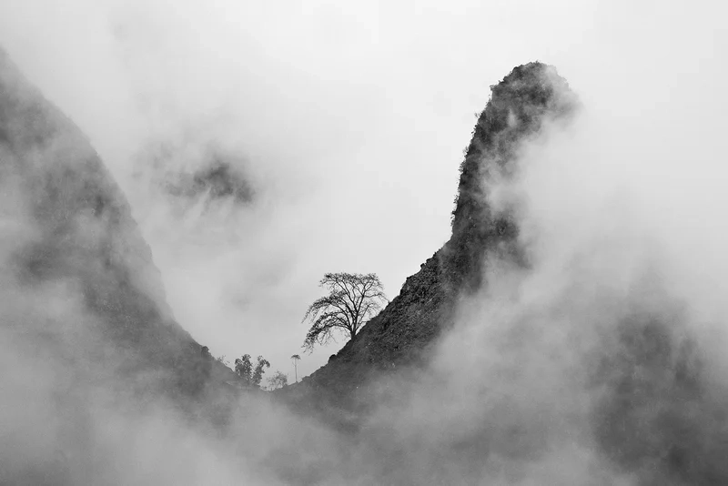 Trải nghiệm cảm giác lãng đãng với ảnh sương mù