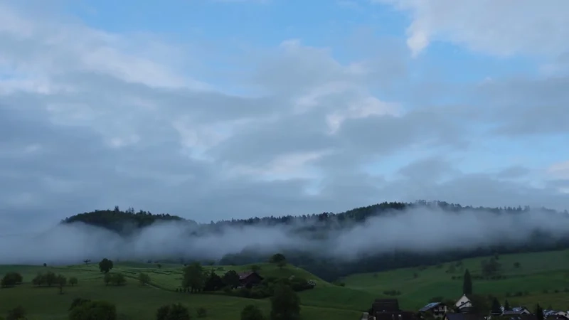 Thưởng thức vẻ đẹp dịu dàng của hình sương mù