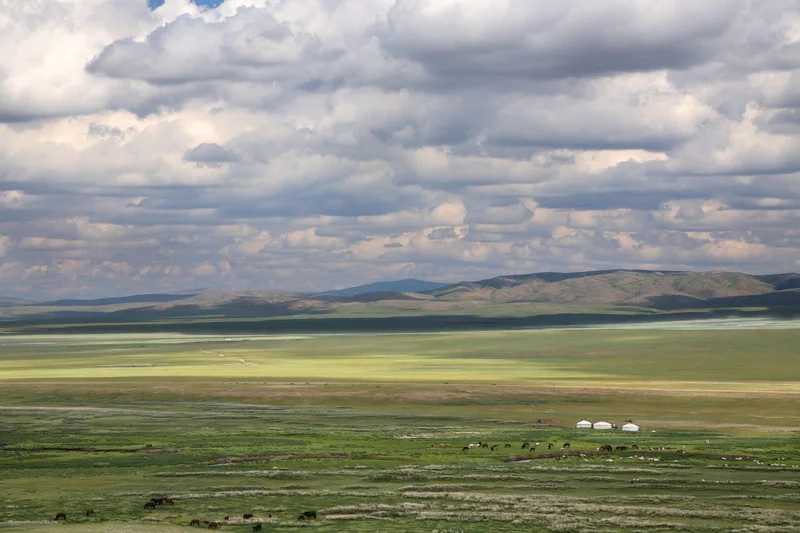 Trải nghiệm thiên nhiên rộng lớn tại thảo nguyên ở việt nam