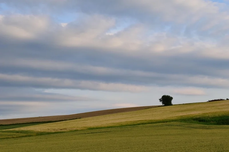 Chiêm ngưỡng nét bình yên trong phong cảnh thảo nguyên