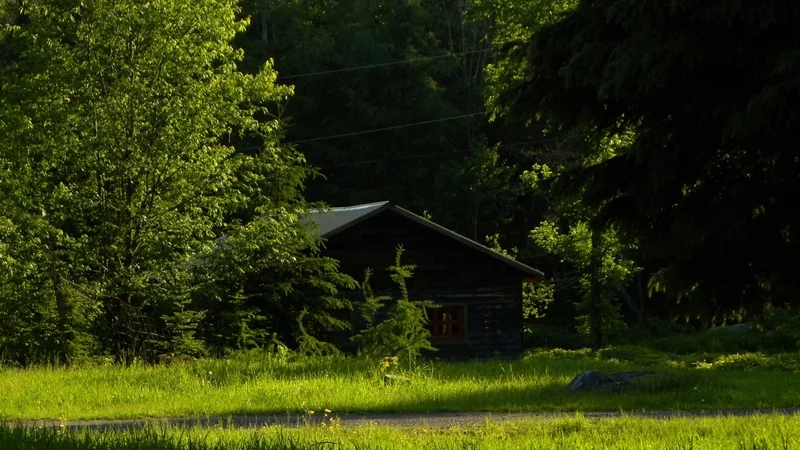 Khám phá vẻ đẹp của cảnh tĩnh lặng mùa thu