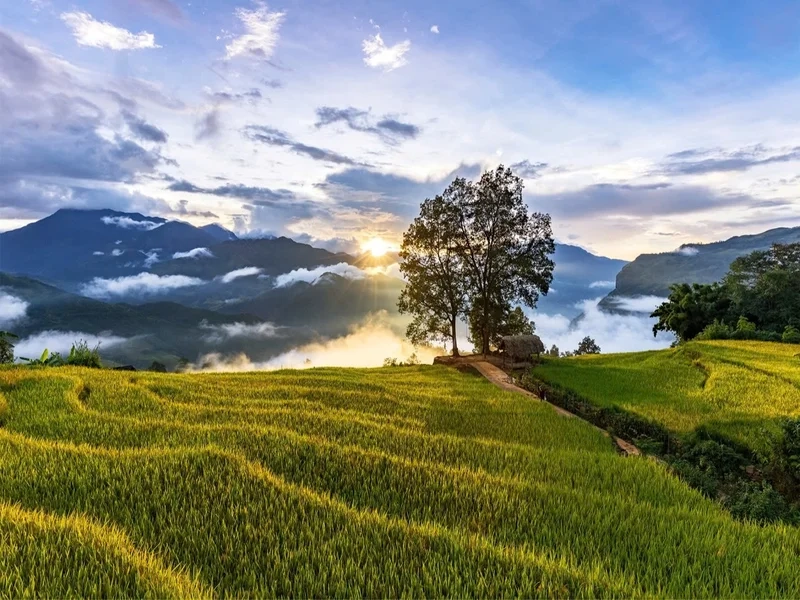 Hình ảnh phong cảnh đồi núi đẹp mang màu sắc thiên nhiên