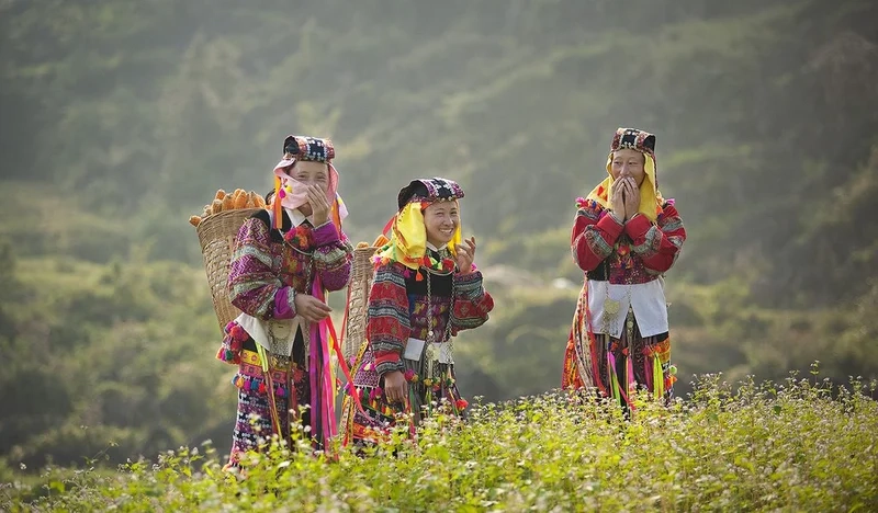 Thưởng thức vẻ đẹp tự nhiên qua ảnh vùng cao tuyệt vời