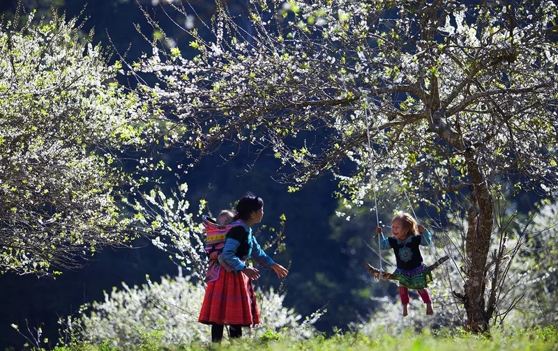 Trải nghiệm thiên nhiên hùng vĩ tại vùng cao việt nam