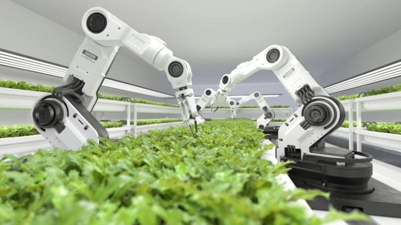 Agricultural robot