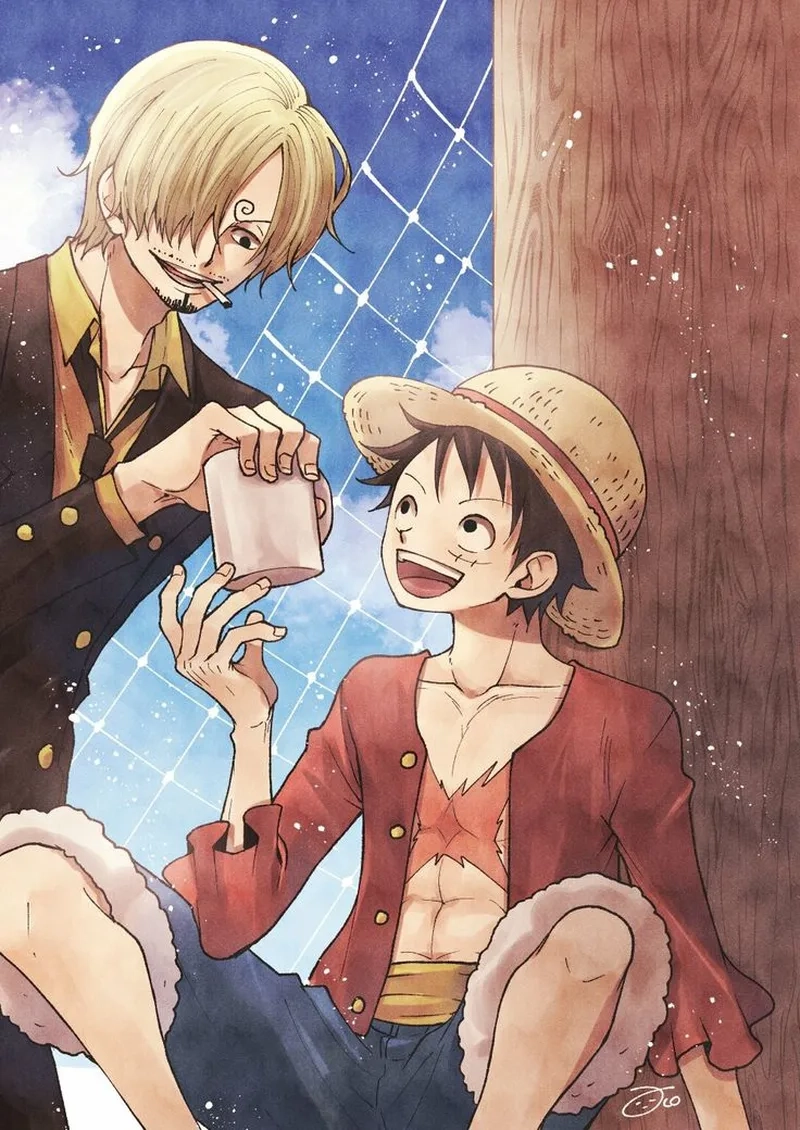 Tình bạn và sức mạnh trong sanji luffy