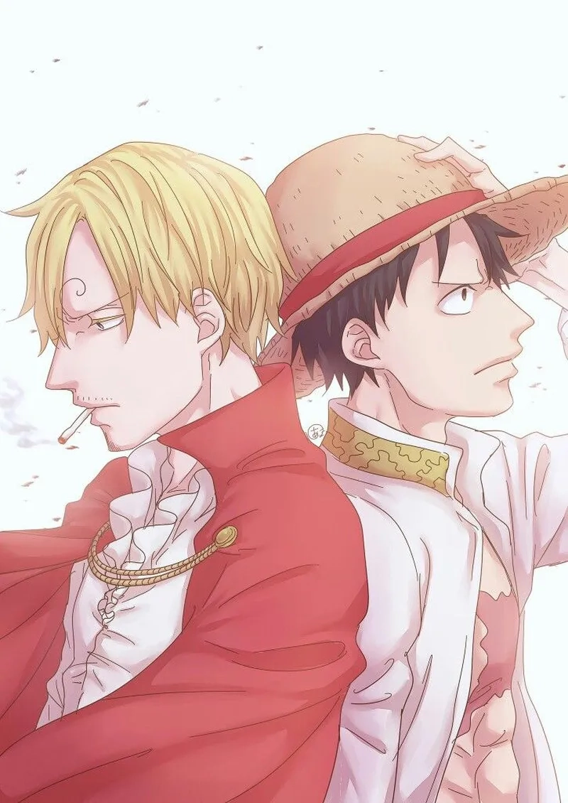 Trận chiến gay cấn với luffy vs sanji