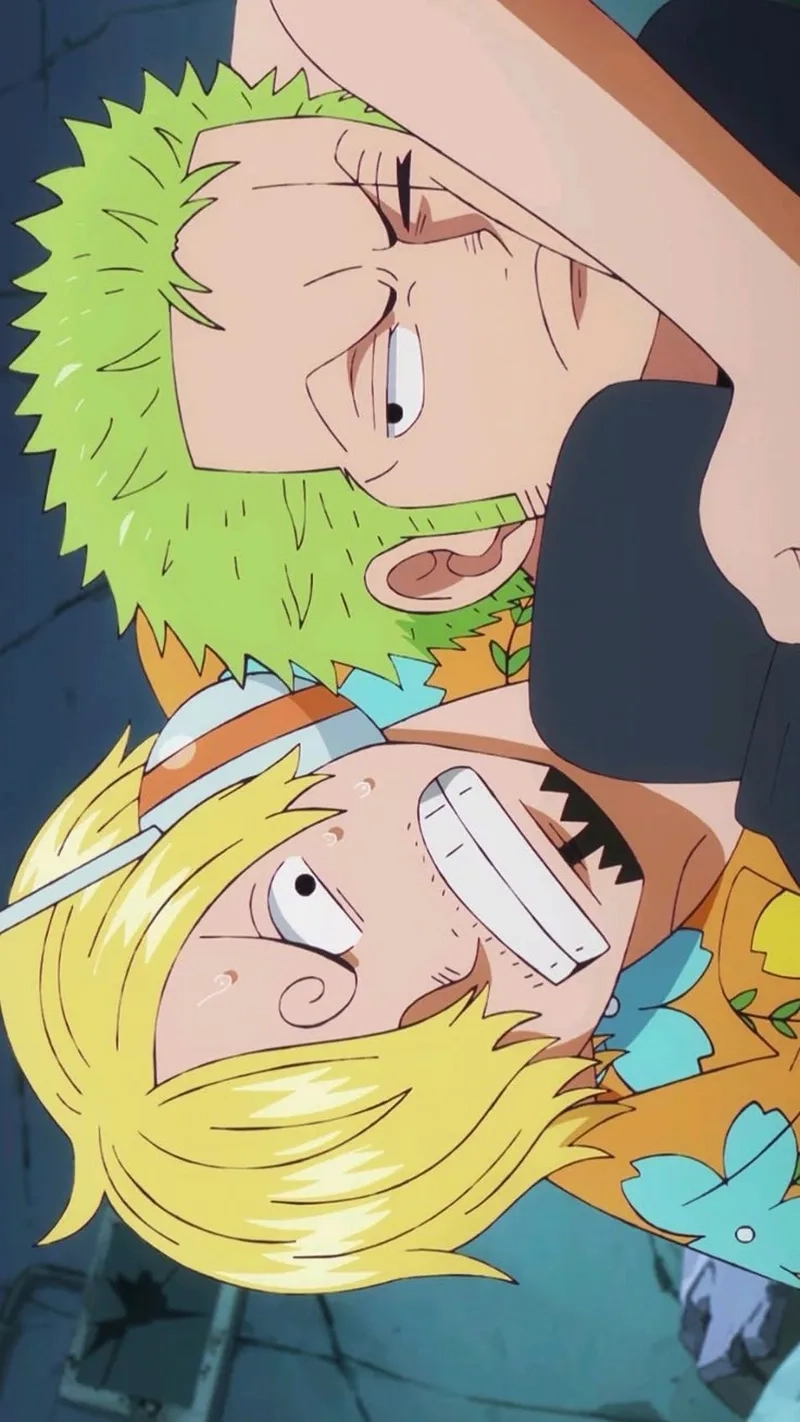 Sức mạnh và tình bạn zoro x sanji