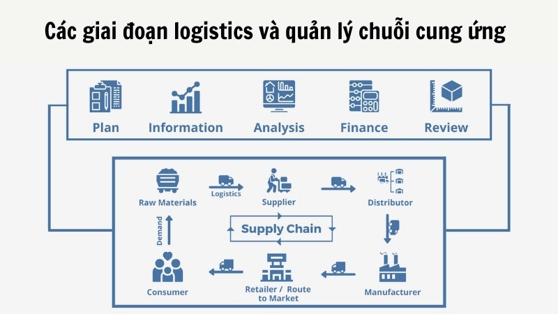  Sơ đồ mô tả các giai đoạn logistics và quản lý chuỗi cung ứng