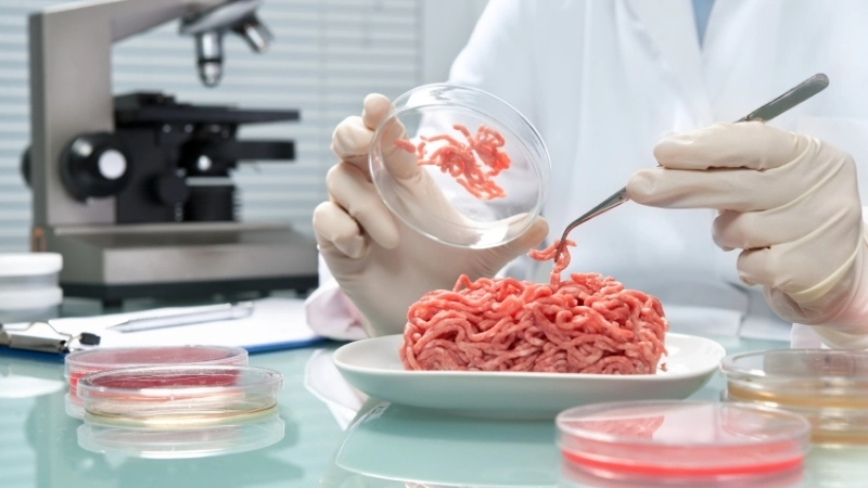 Tiềm năng phát triển của thực phẩm nhân tạo