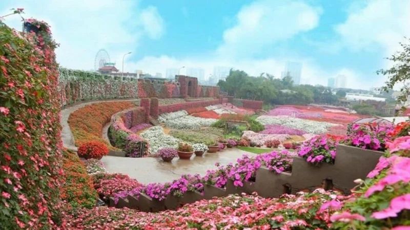 Thả hồn vào thiên nhiên cùng hình ảnh của thung lũng hoa hồ tây