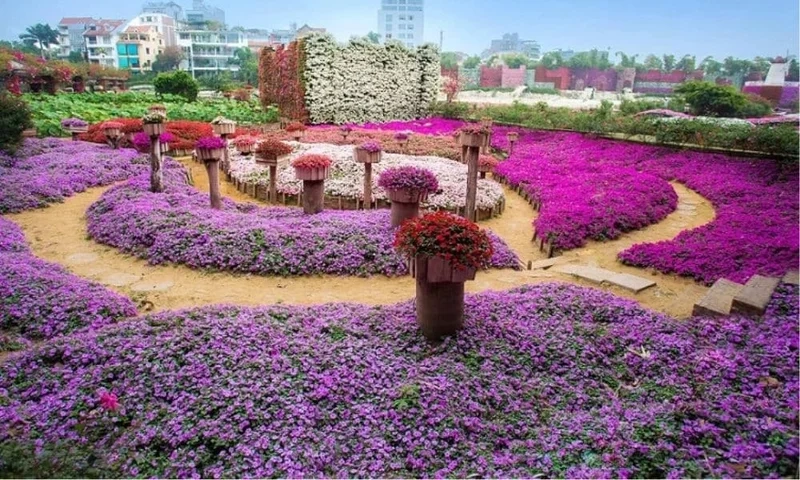 Hòa mình vào lãng mạn với hình ảnh của thung lũng tình yêu