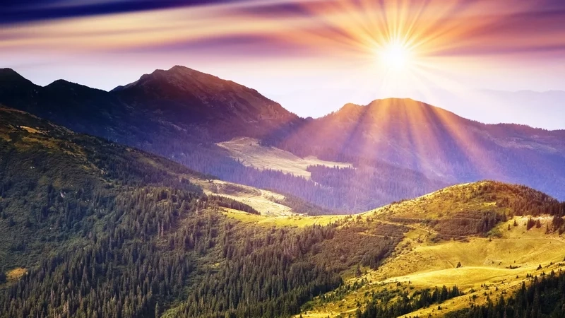 Chiêm ngưỡng hình ảnh tia nắng mặt trời xuyên qua lá cây