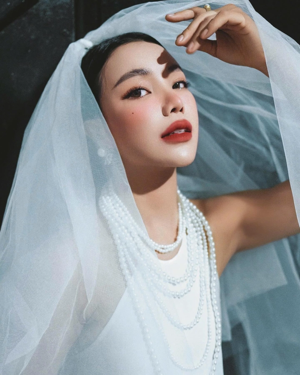 Trà Ngọc Hằng bị kiện và những ồn ào liên quan đến pháp luật