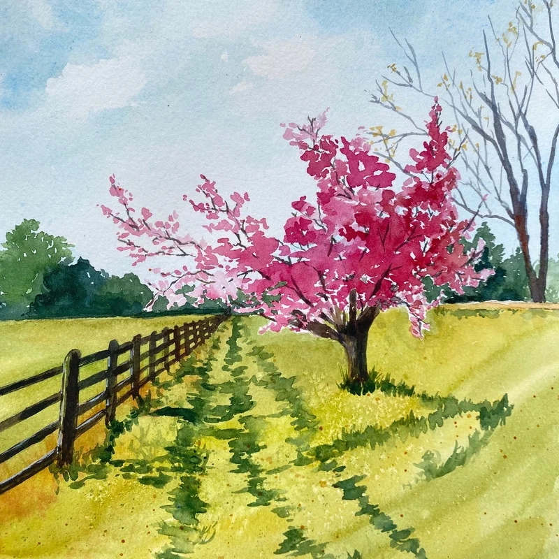 Cảm nhận mùa xuân qua ảnh cảnh đẹp mùa xuân