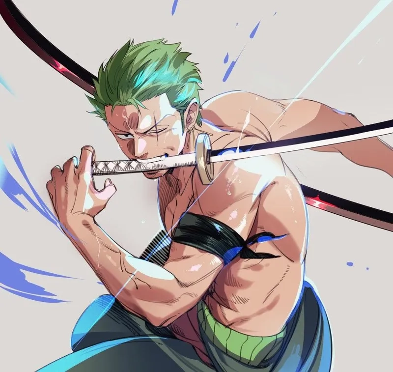 Zoro là ai?