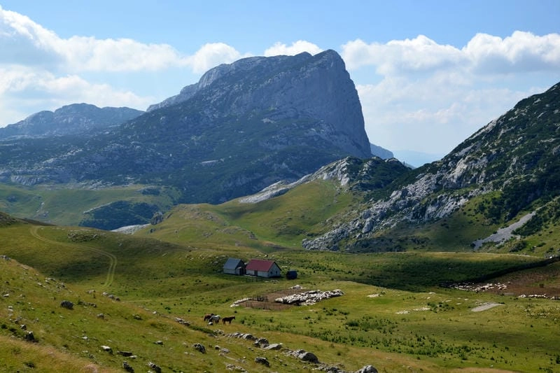 Núi Durmitor ở đâu luôn khiến du khách tò mò