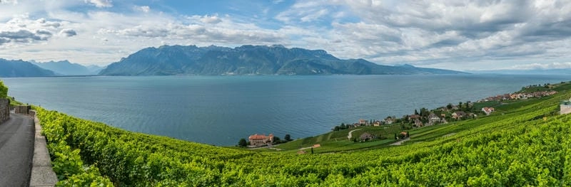 Hồ Geneva Thụy Sĩ nổi bật giữa thiên nhiên