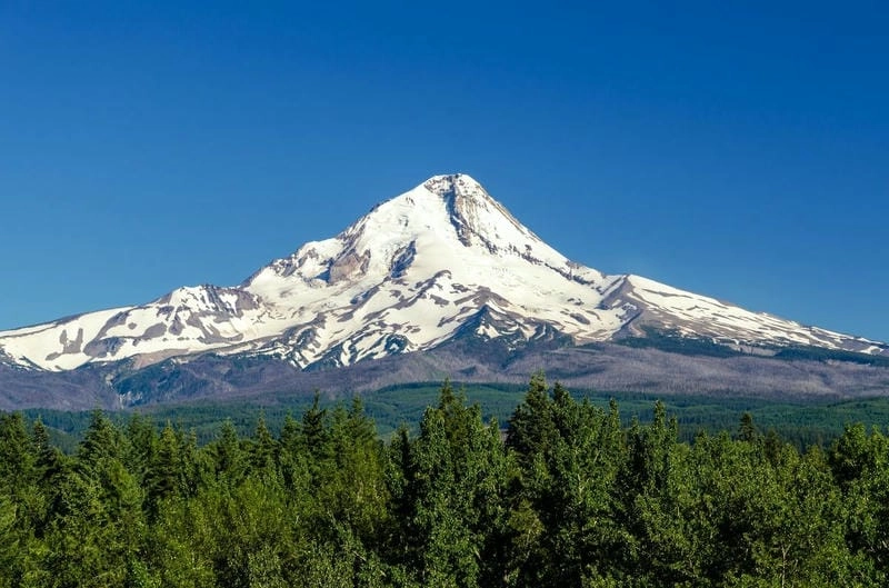 Tham quan núi Mount Hood giữa không gian hoang sơ