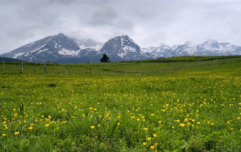 Khí hậu núi Durmitor mát mẻ quanh năm