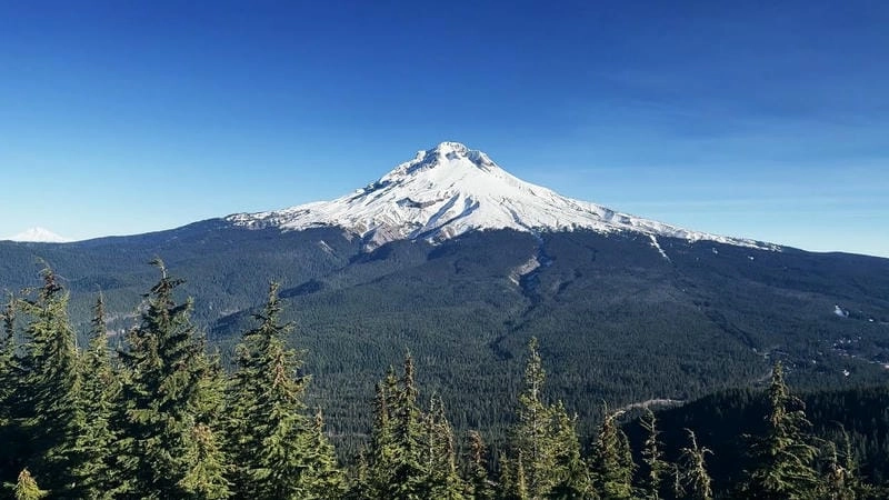 Vẻ đẹp núi Mount Hood hòa quyện tuyết và rừng